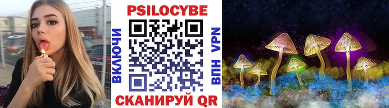 Галлюциногенные грибы Psilocybine cubensis  гидра tor  Таштагол  хочу наркоту 